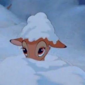 Meet your Posher, Bridget